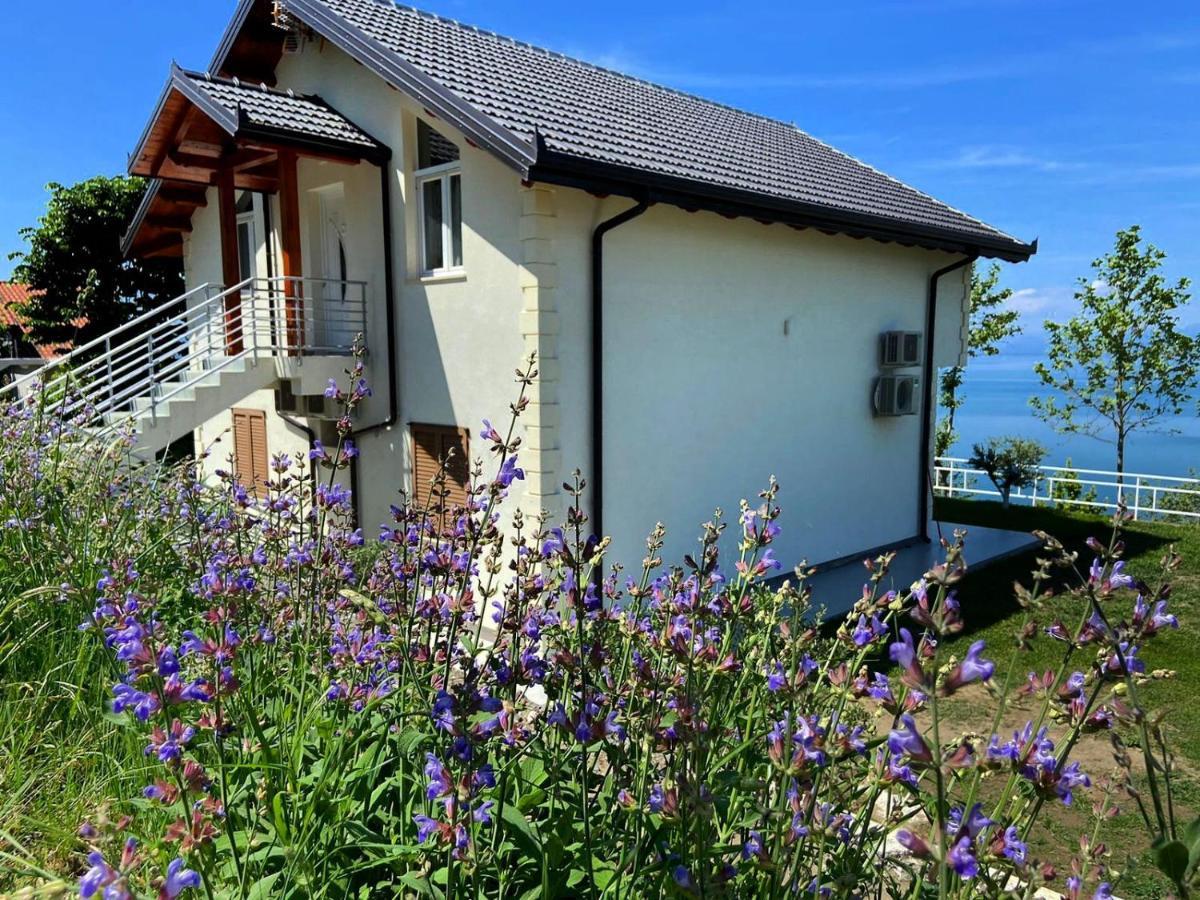 Xhuli Guesthouse Shkodër Екстериор снимка