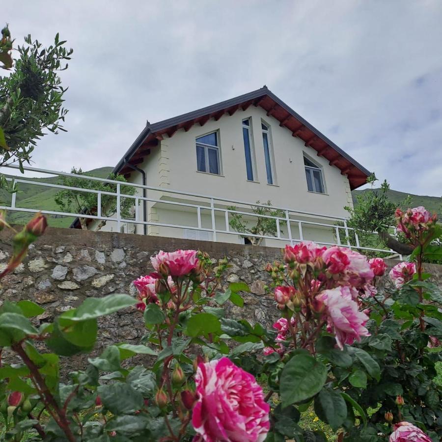 Xhuli Guesthouse Shkodër Екстериор снимка