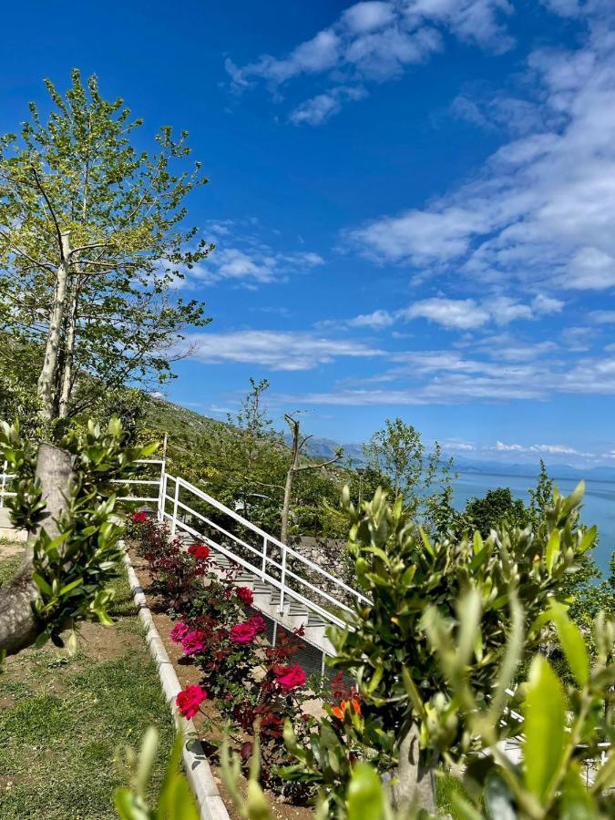 Xhuli Guesthouse Shkodër Екстериор снимка