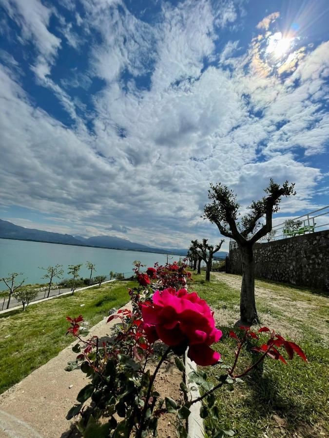 Xhuli Guesthouse Shkodër Екстериор снимка